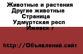 Животные и растения Другие животные - Страница 2 . Удмуртская респ.,Ижевск г.